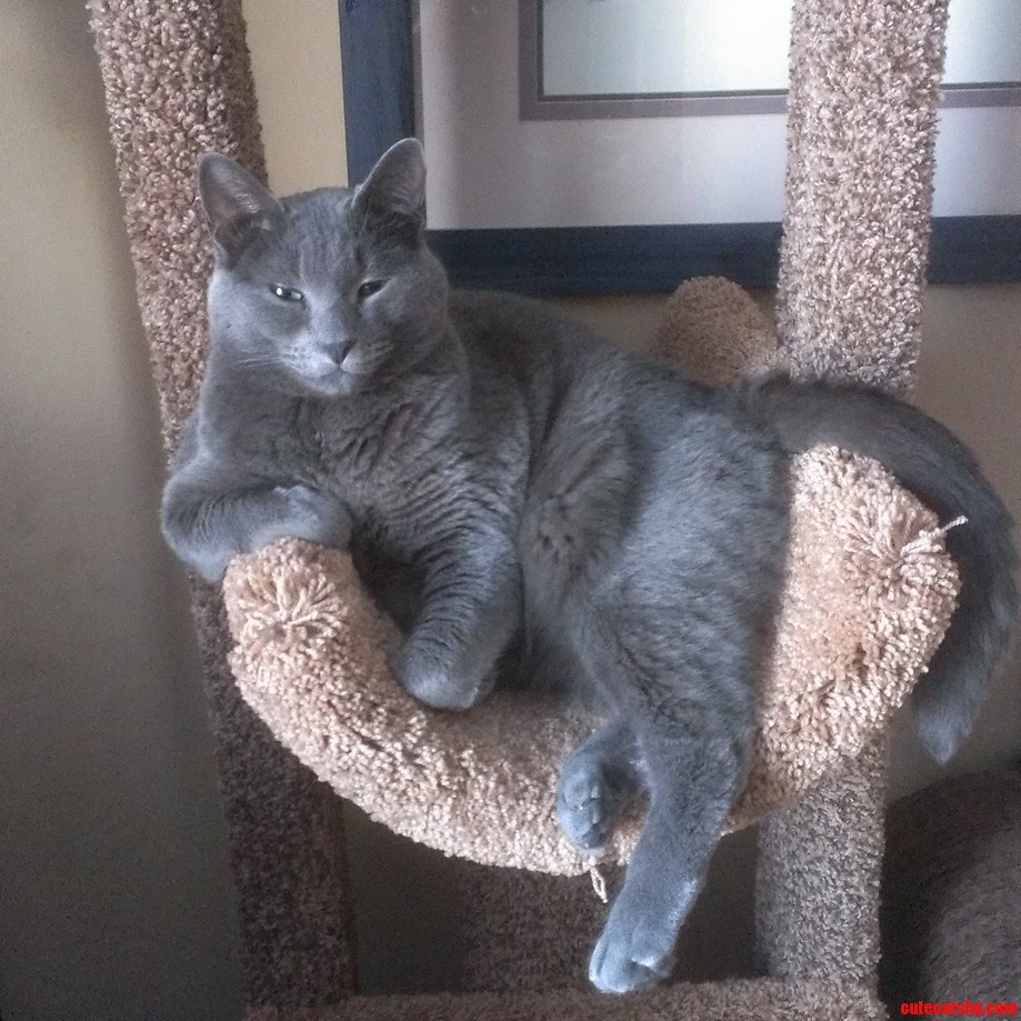 Just Chillin
