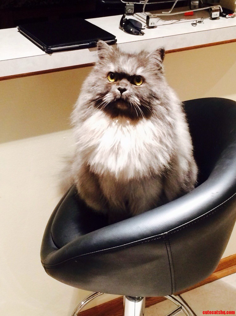 Just Got Home.. He Looks Upset About Something