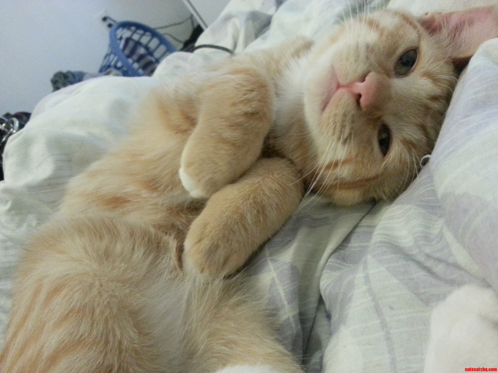 Just Simon Being Adorable