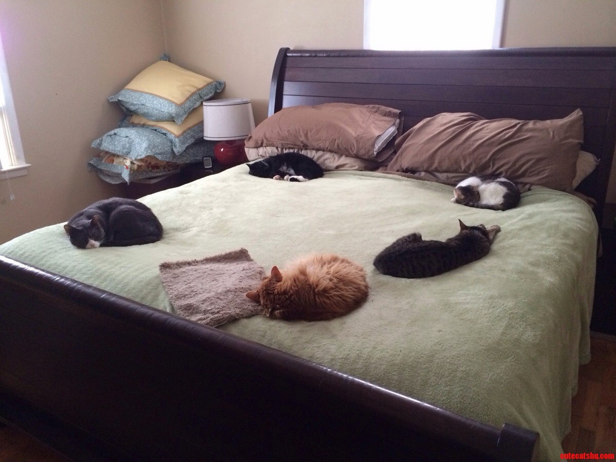 Lazy Saturday Morning.