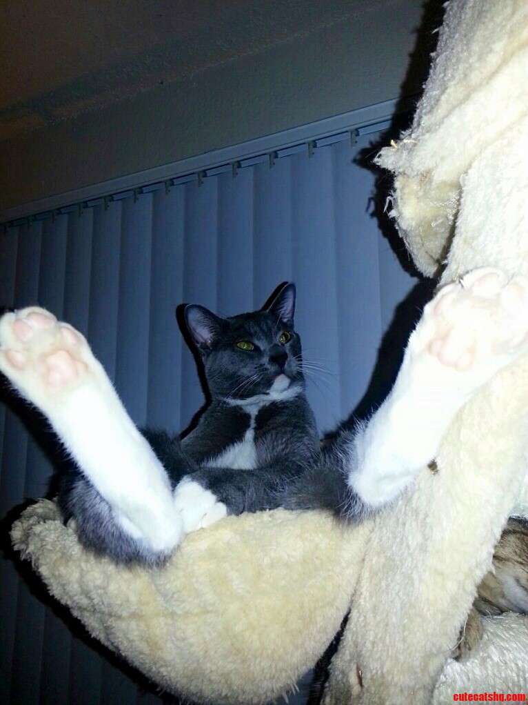 Look at My Feet