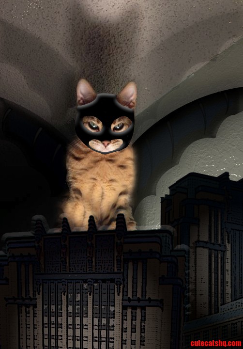 Looming Cat Gets a Makeover