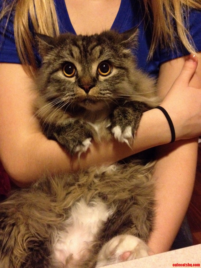 Meet Cleo