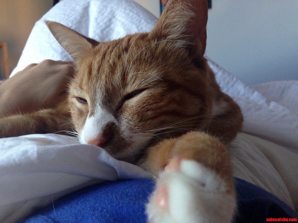 Morning Cuddles