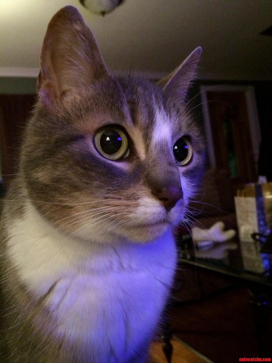 My 12 Year Old Beauty