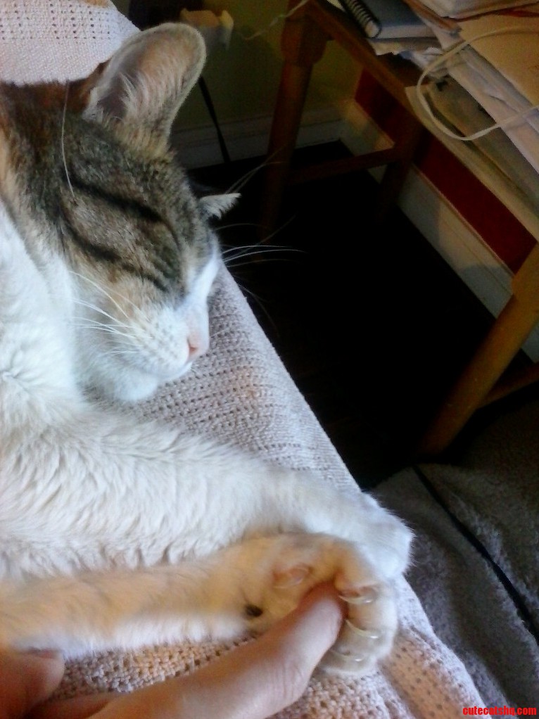 My Baby Holds My Hand