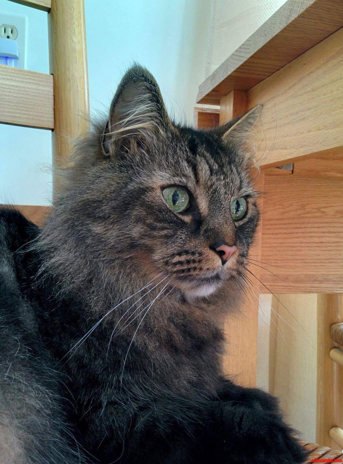 My Beautiful 12 Year Old