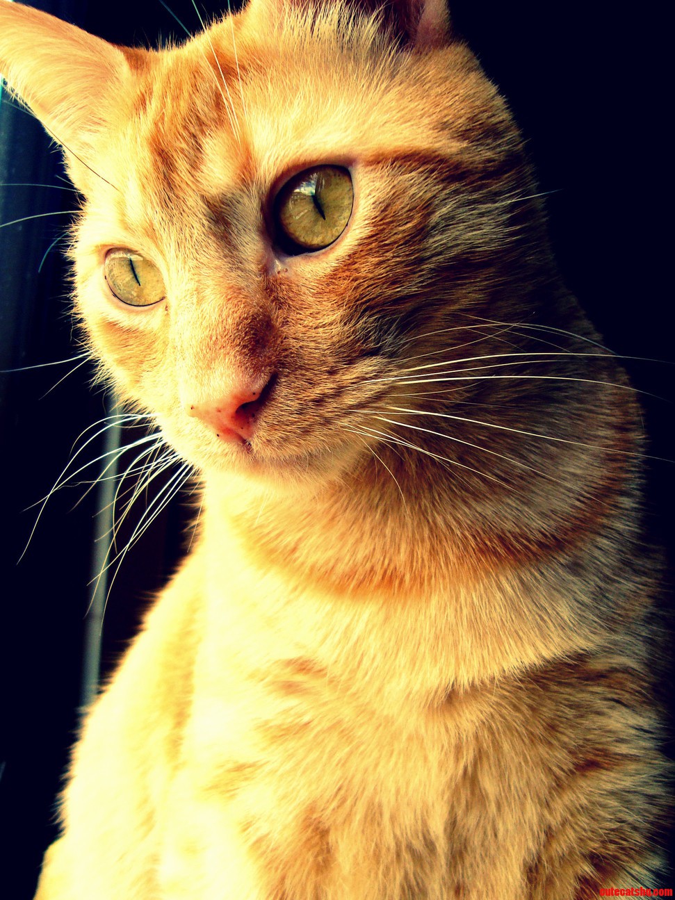 My Beautiful Boy