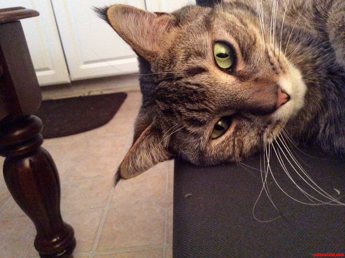 My Handsome Boy Claude 3