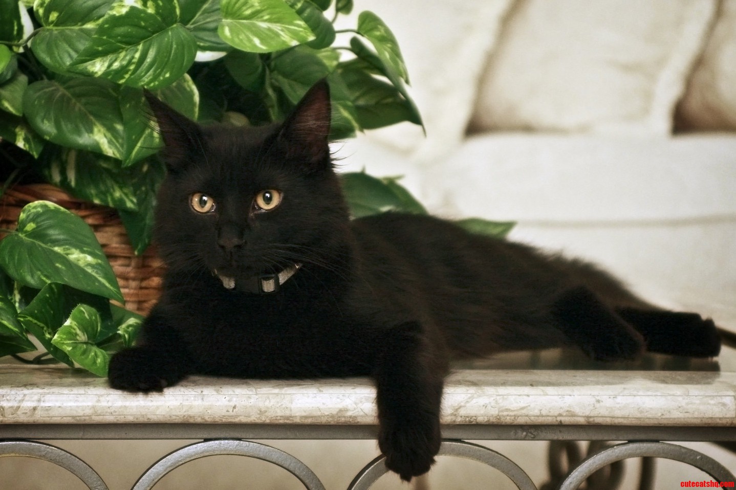 My Handsome Boy Wednesday
