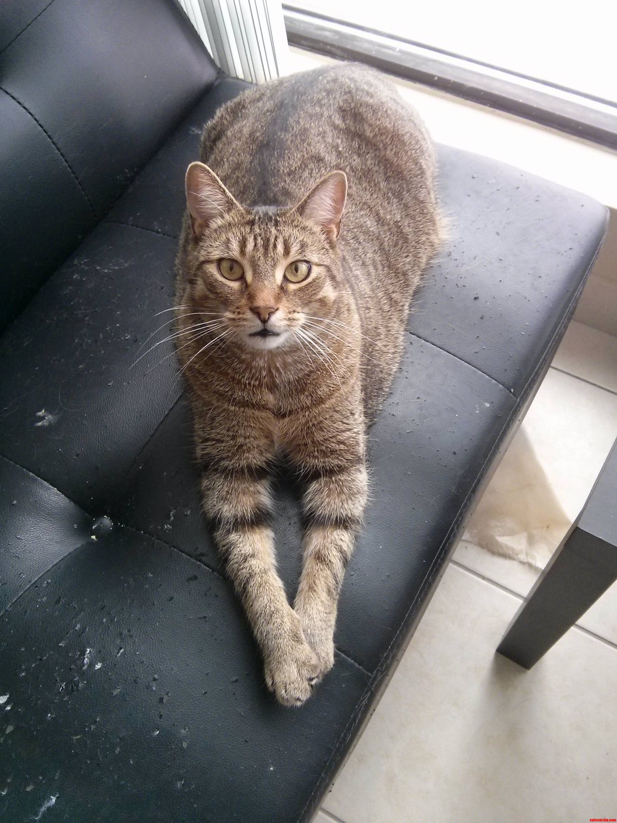 My Handsome Man 3
