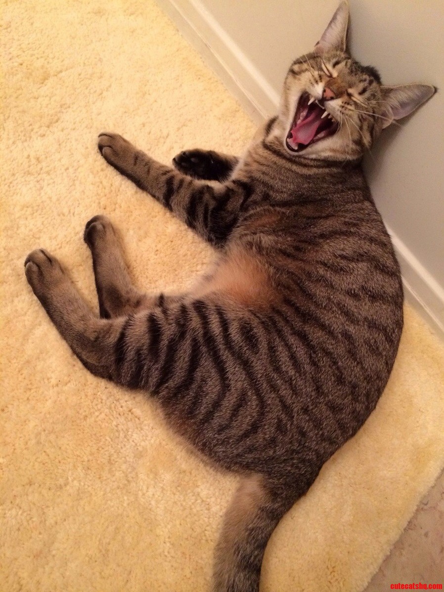 My Little Bathroom Stalker Singing Me a Song.