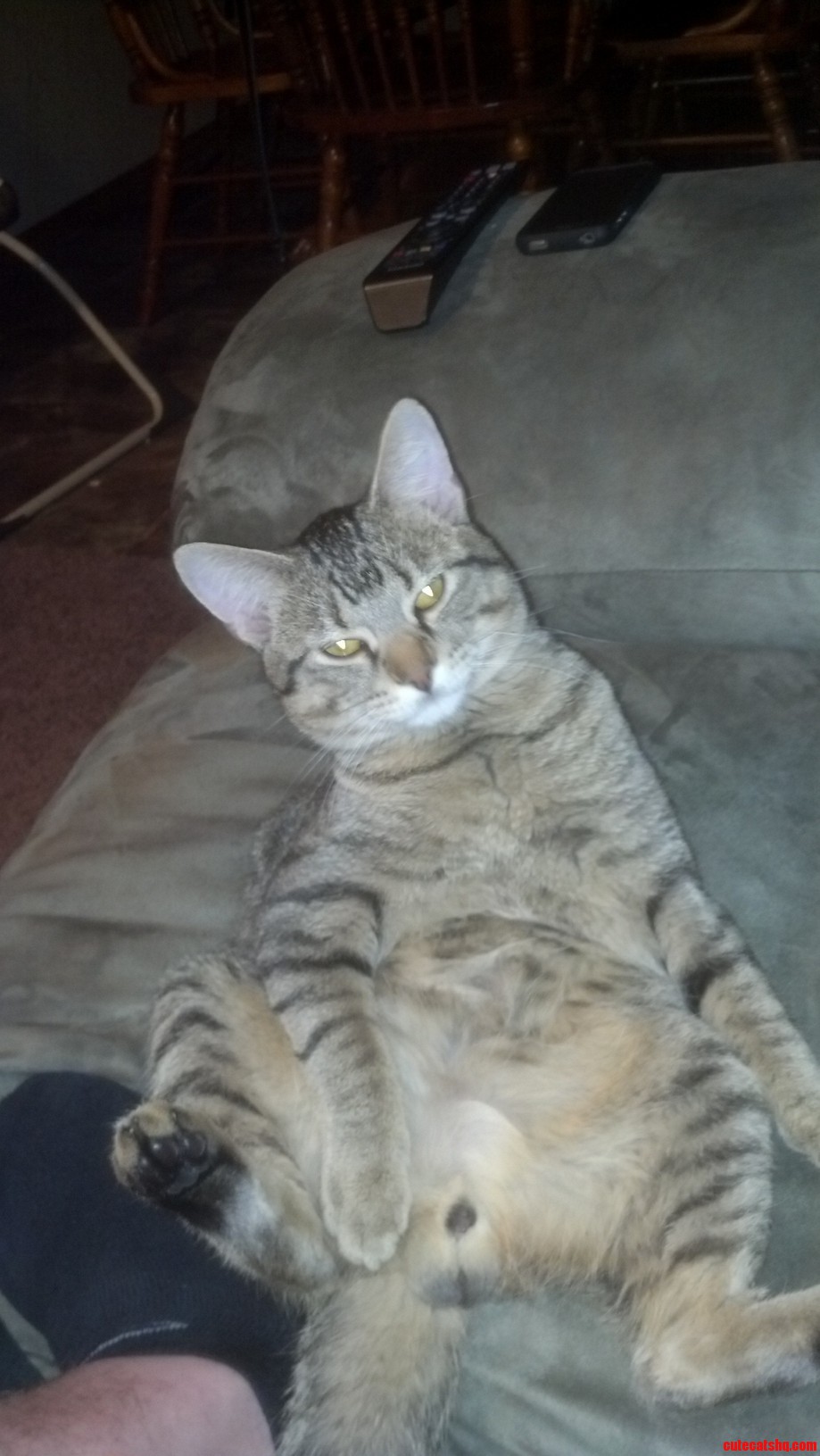 My Main Man Oliver. Aint He Adorable