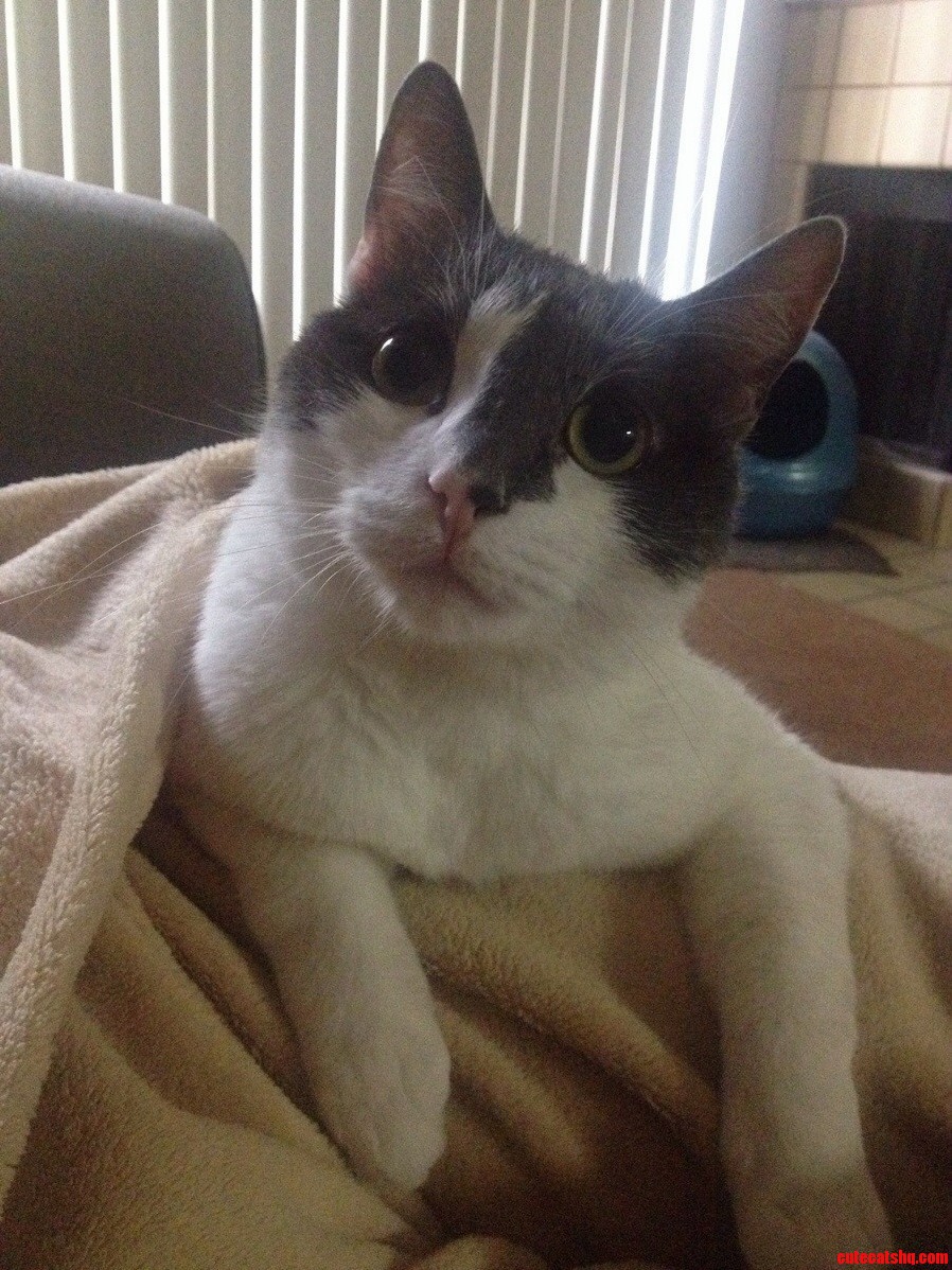 My Partner in Crime Evee.