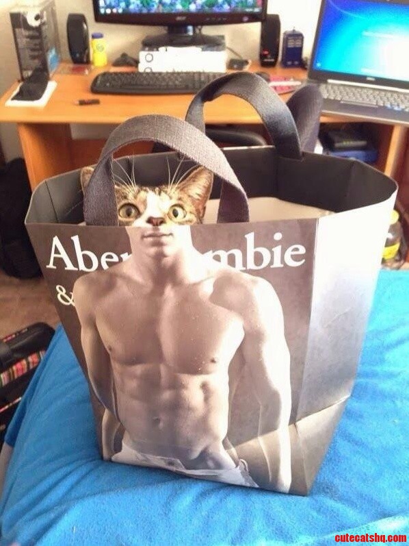 My Sisters Cat Is Jacked