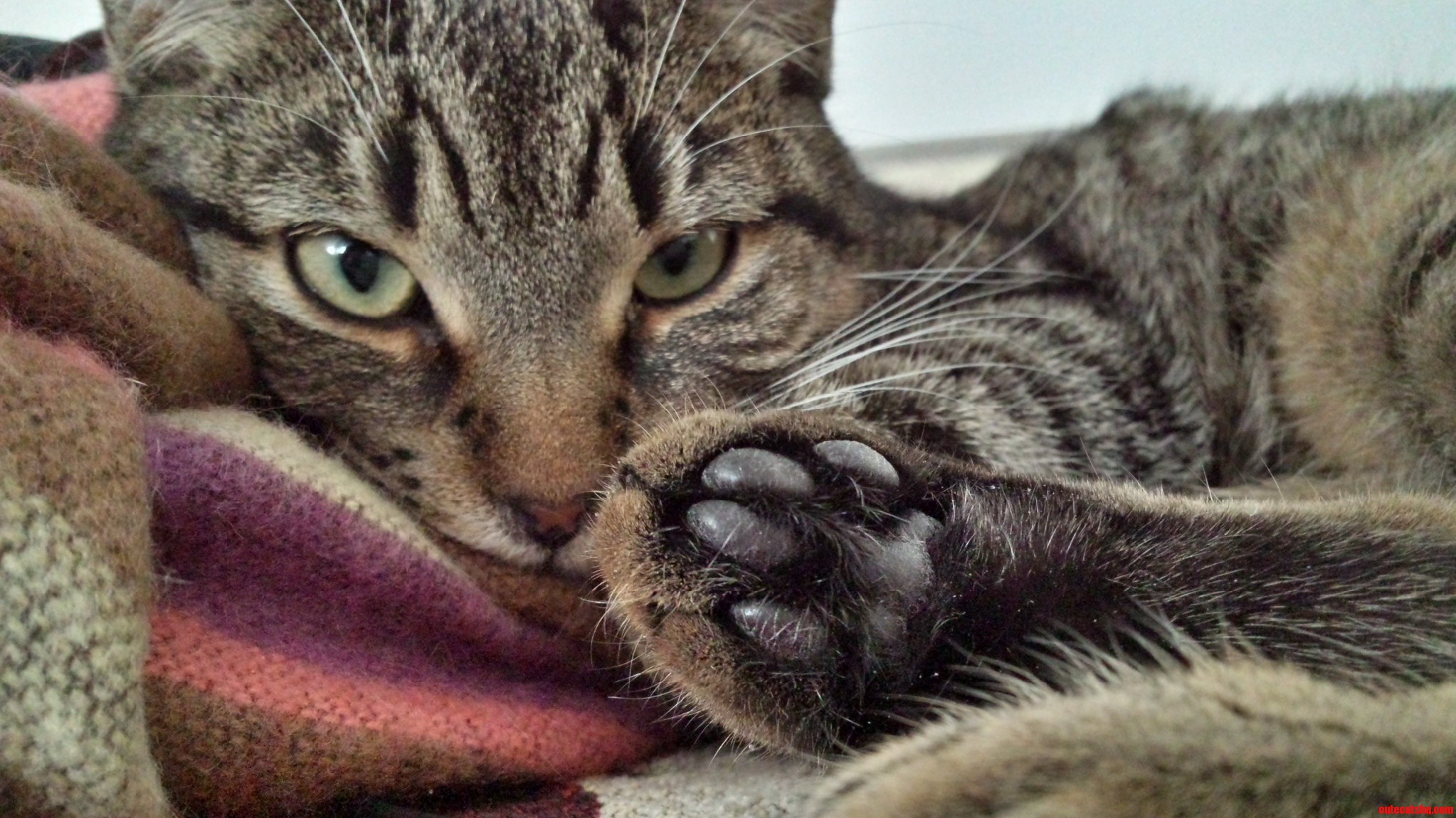 Nap Time.