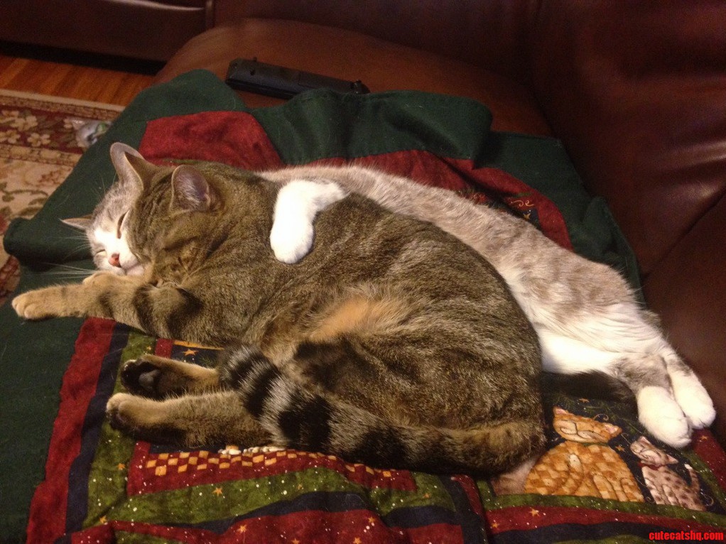 Now This Is True Love