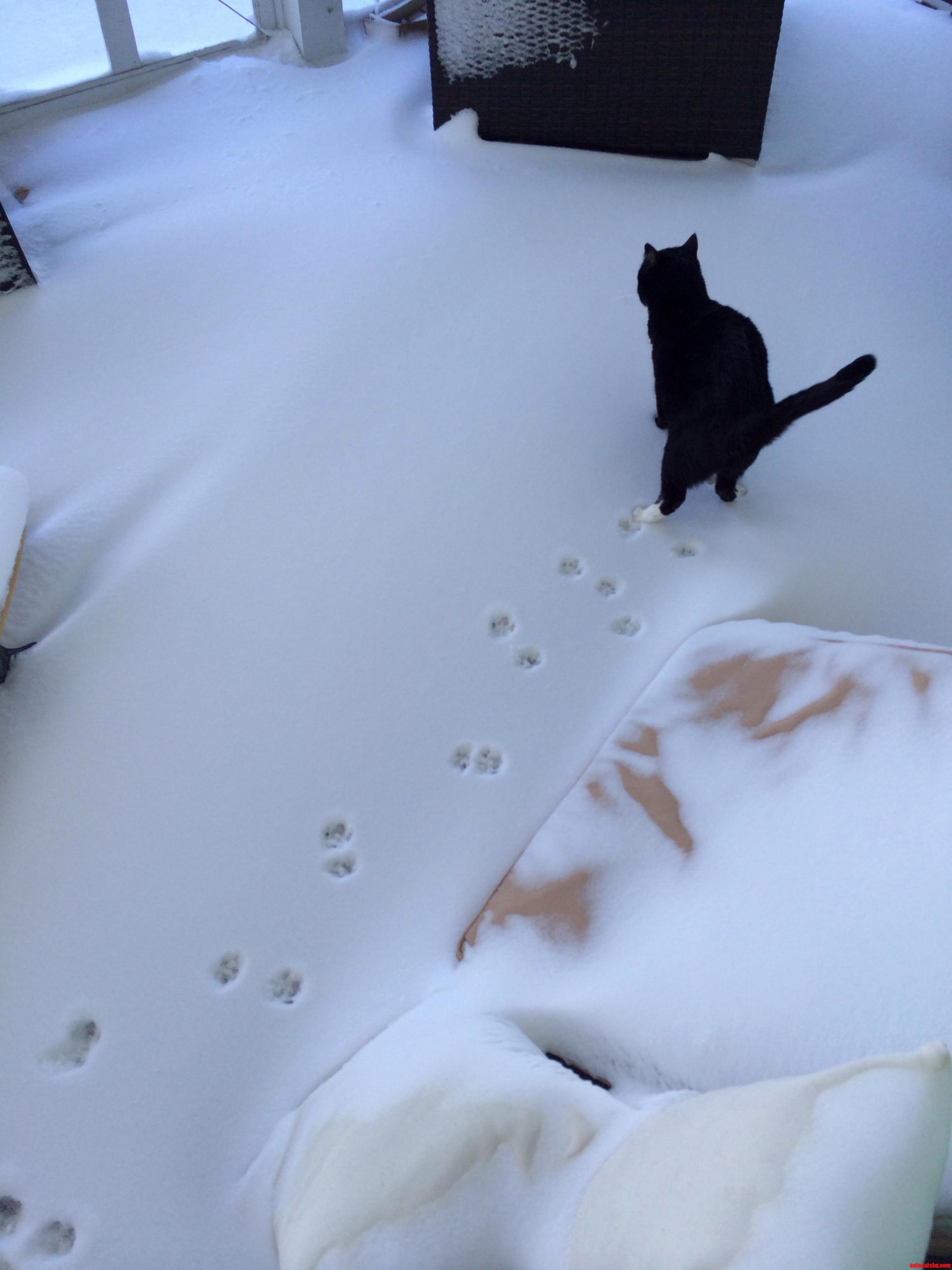 On 2nd Thought Maybe I Will Come Back Inside
