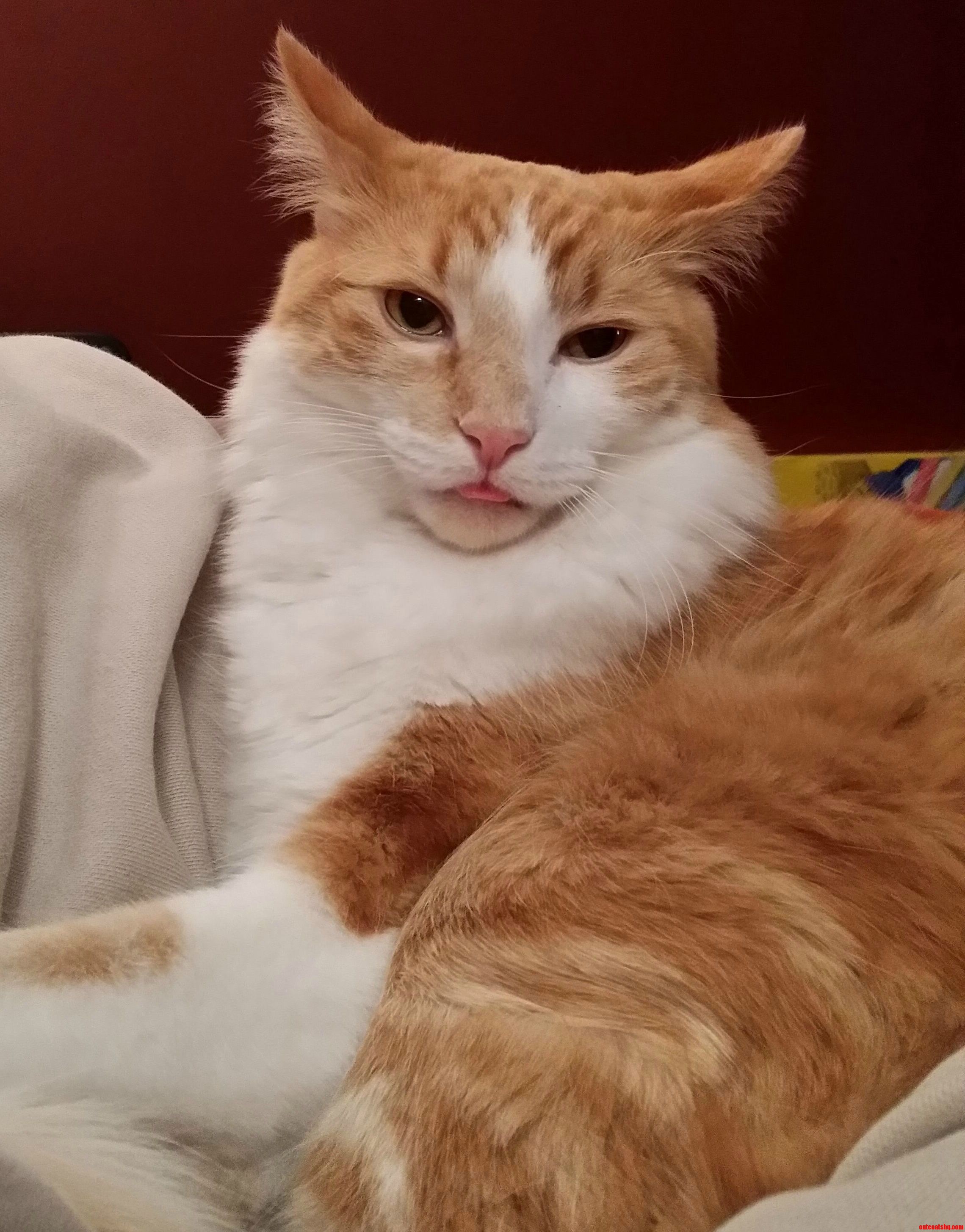 Out Little Derp in Training.