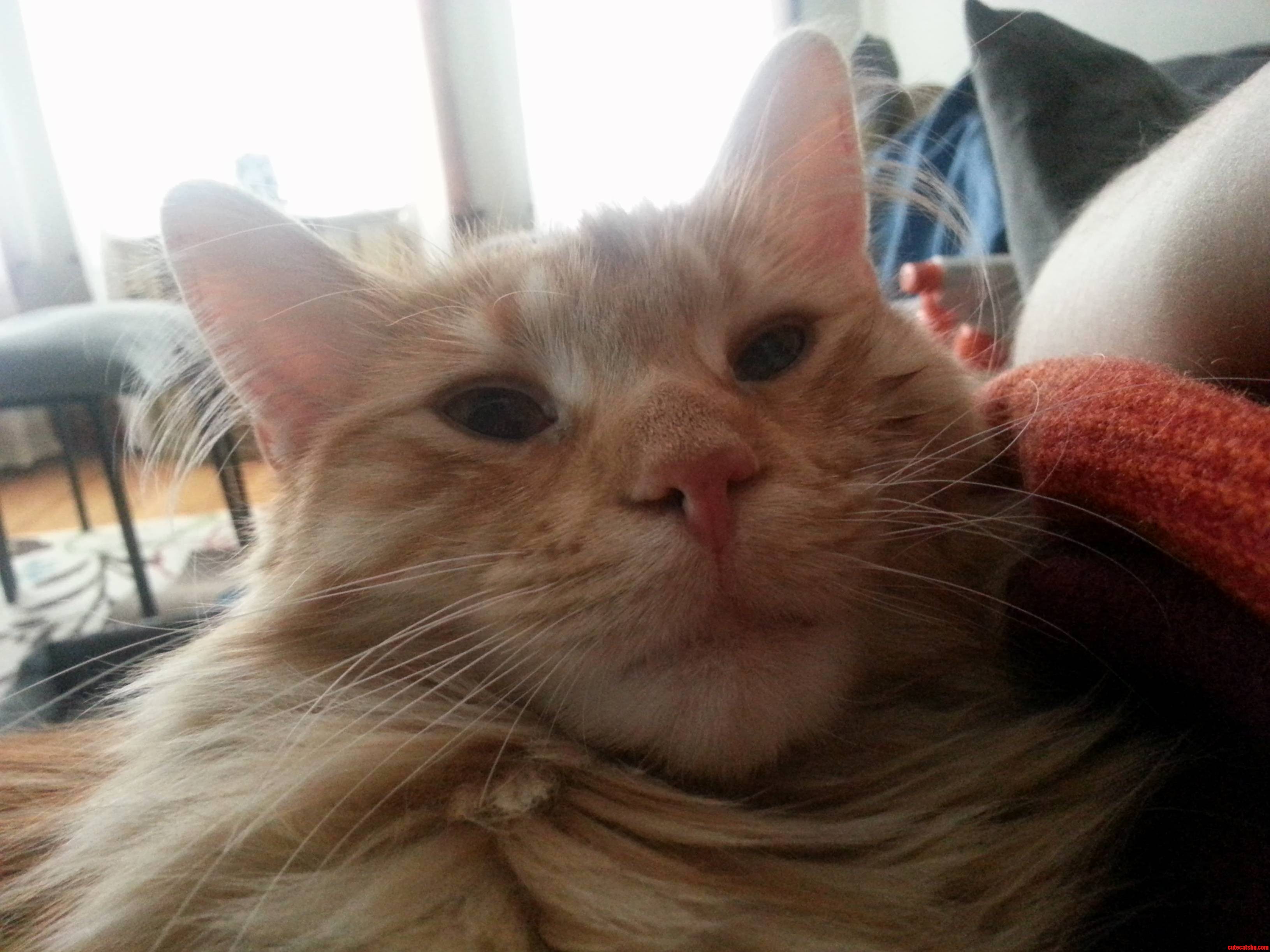 Paul Makes the Best Faces