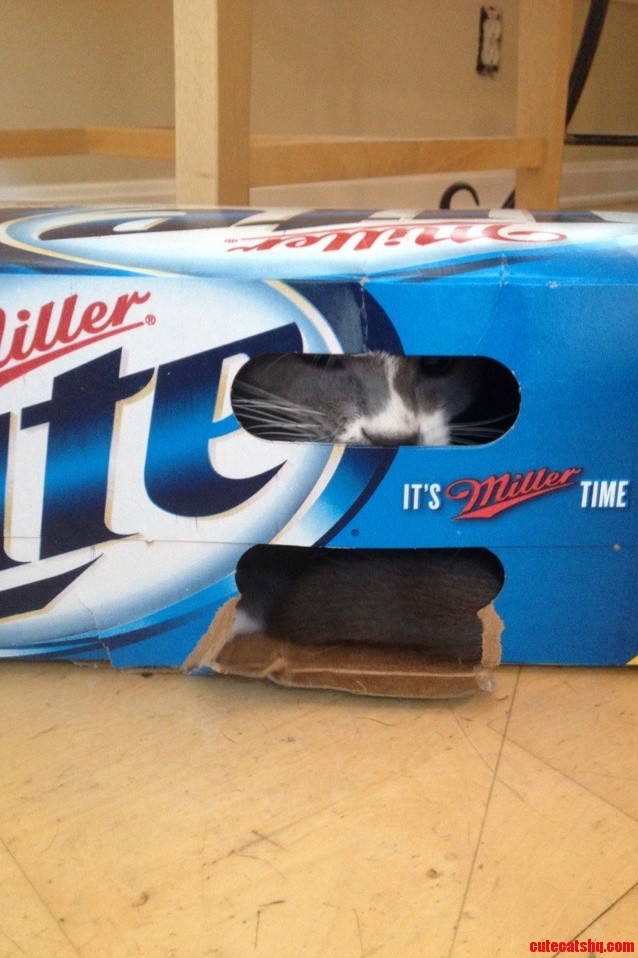 Peek-a-brew