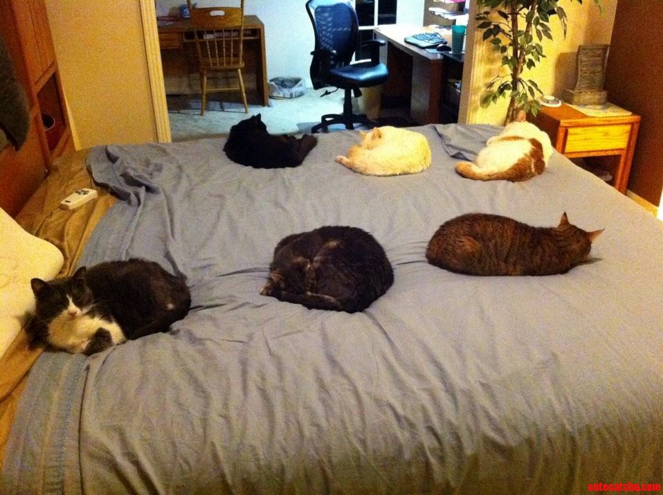 Personal Space.