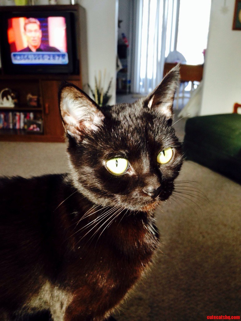 Princess Wheezy
