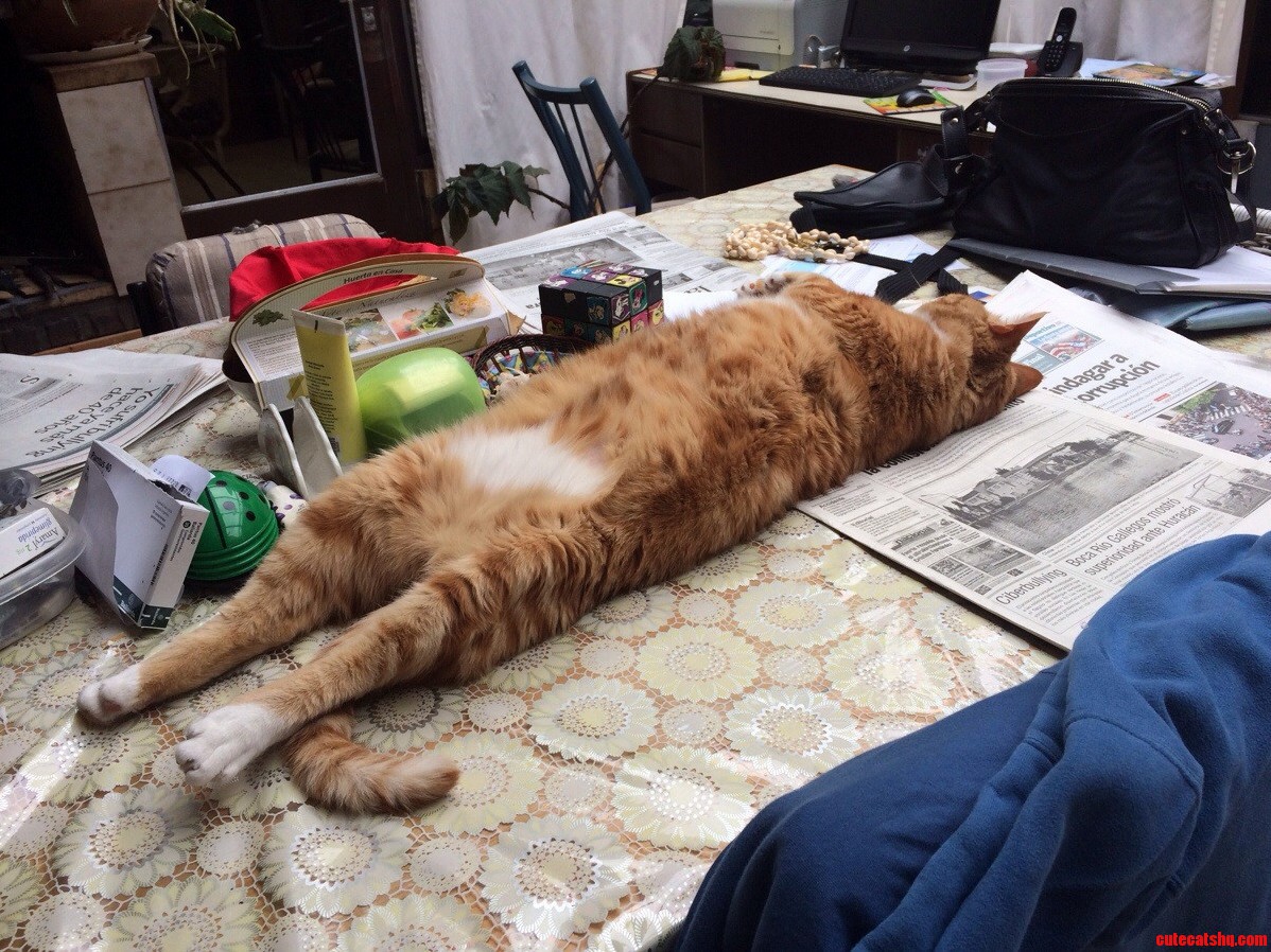Relaxing on the Table