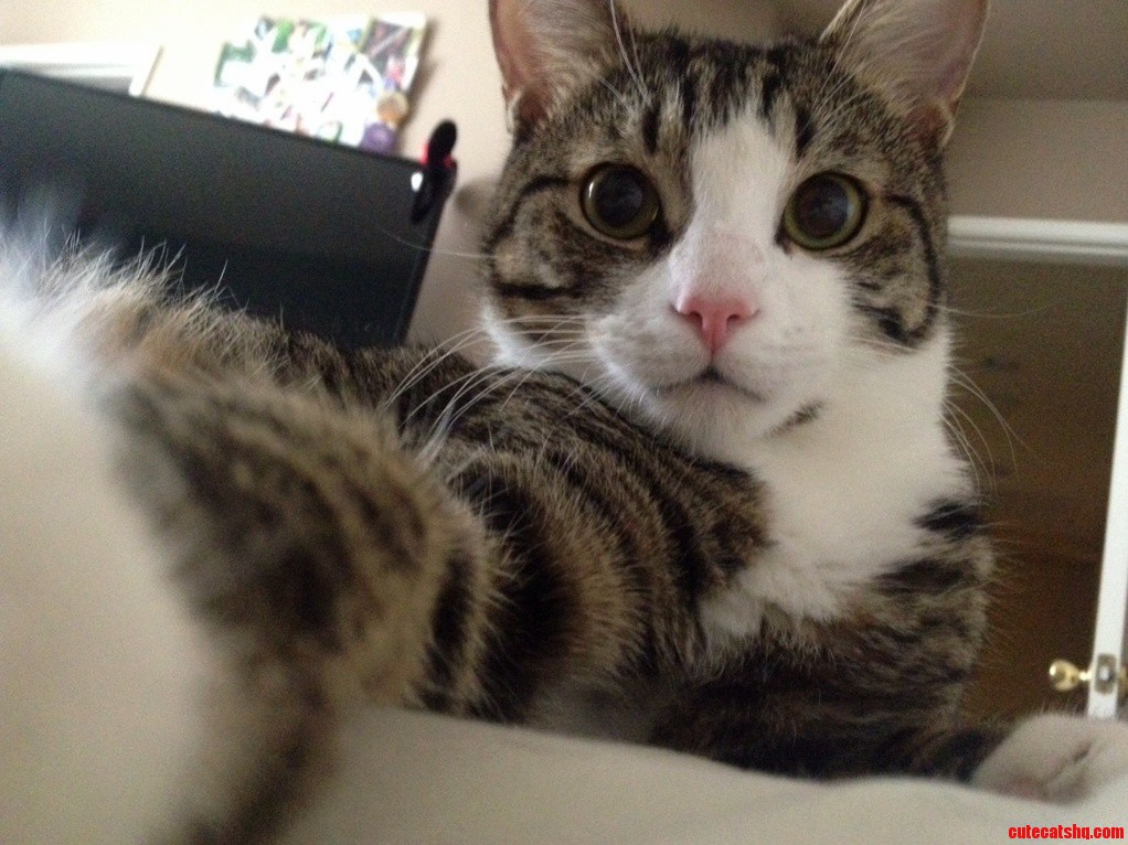 Selfie