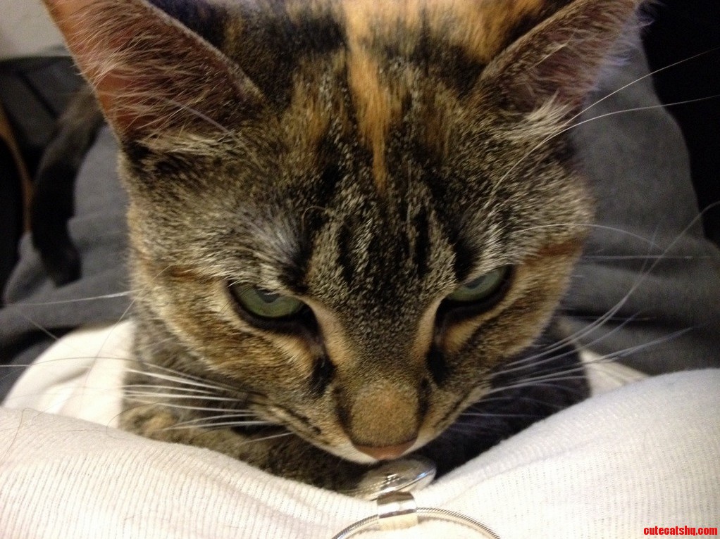 She Is Plotting Our Doom.