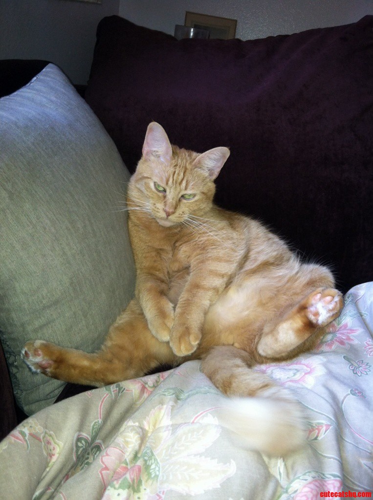 She Loves Sitting Up Like This but Looks Grumpy