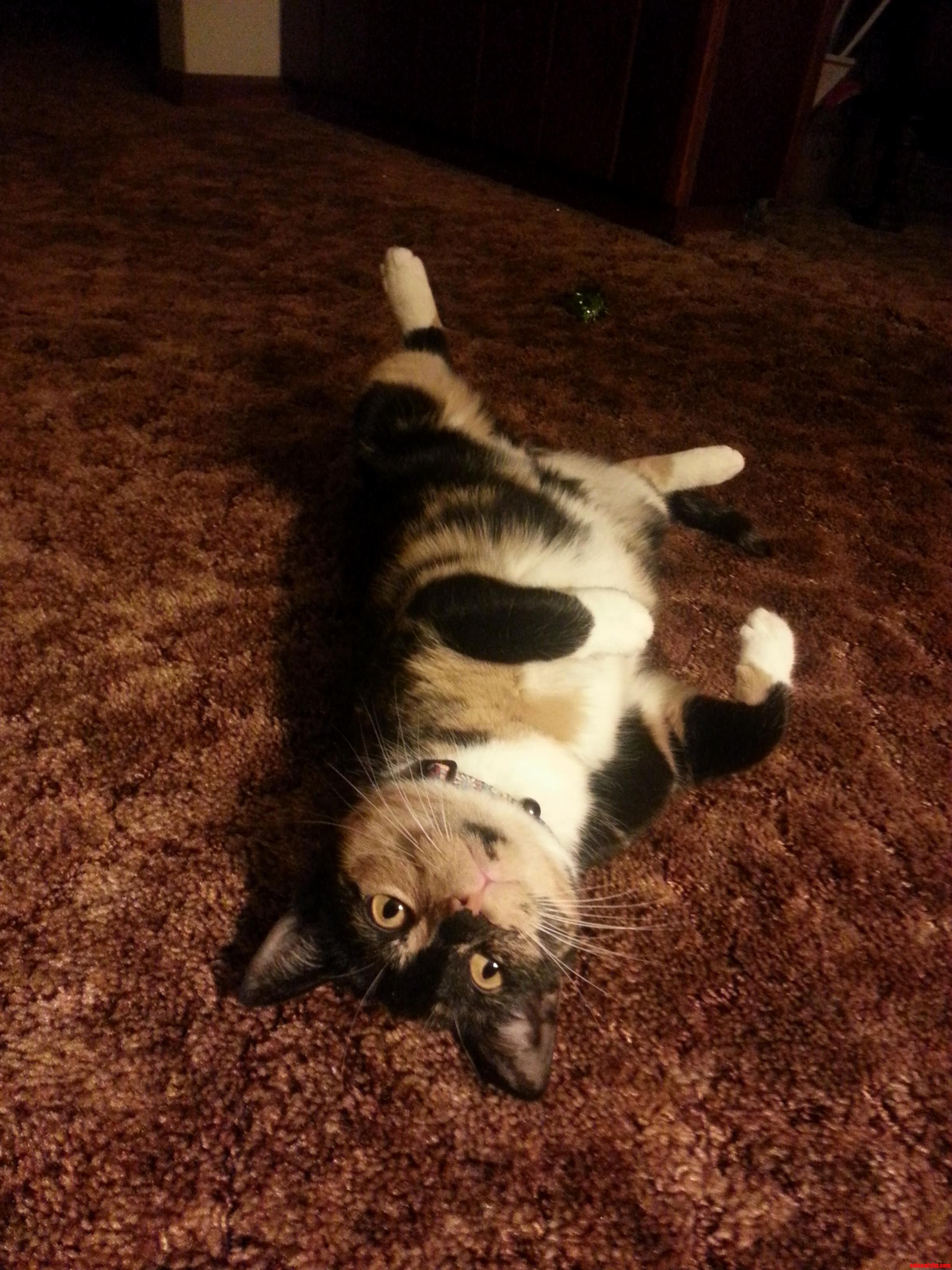 She Never Realizes How Silly She Looks.