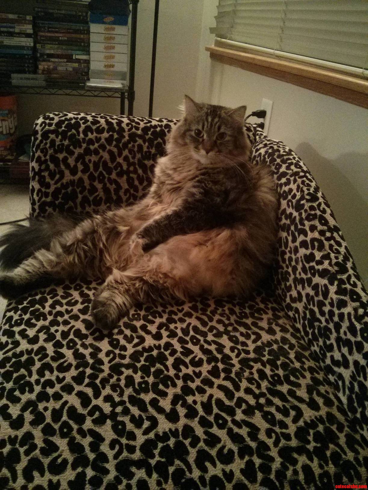 She Sits in Her Chair Like She Is the Queen All Day.