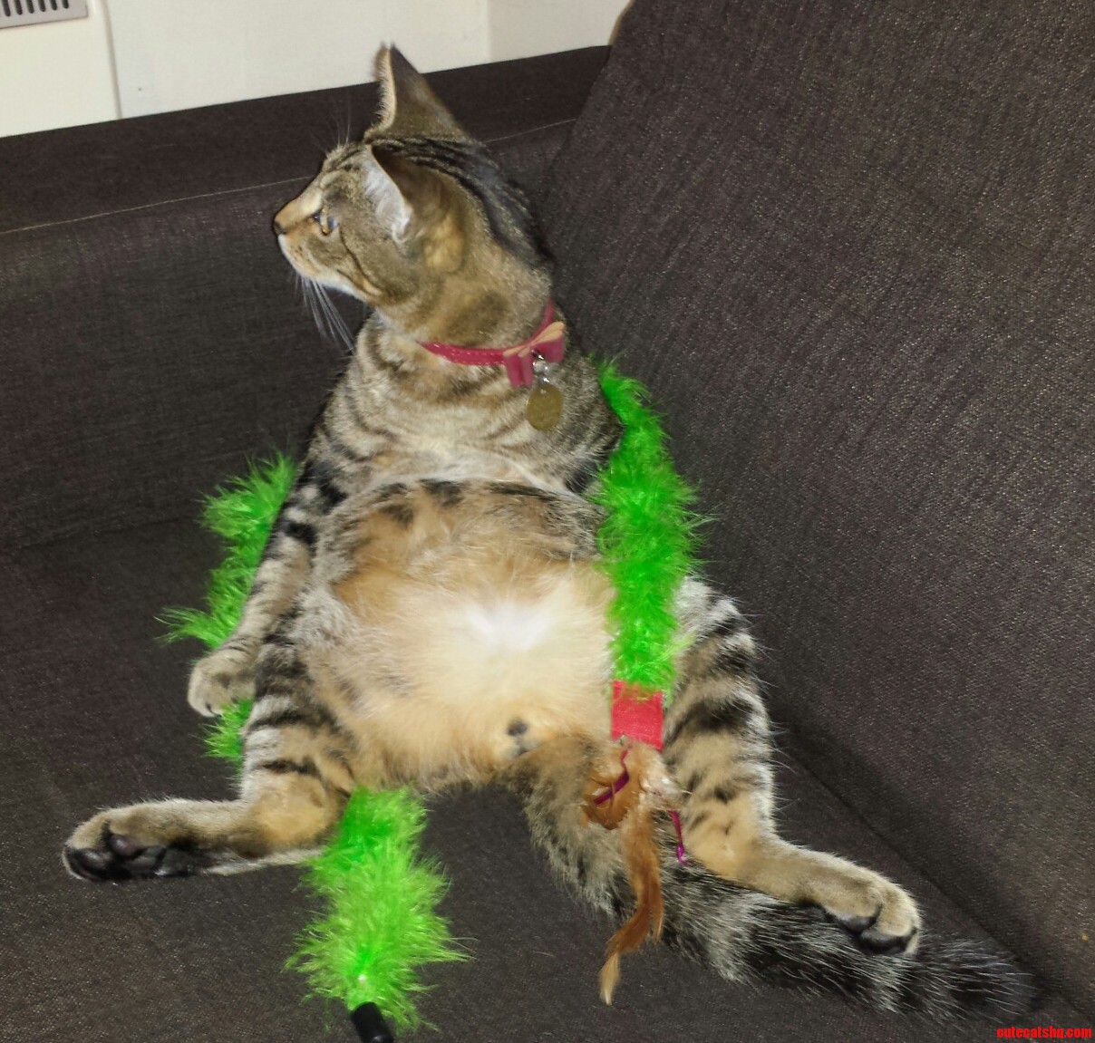 Sitting Like the Food-bringers Do