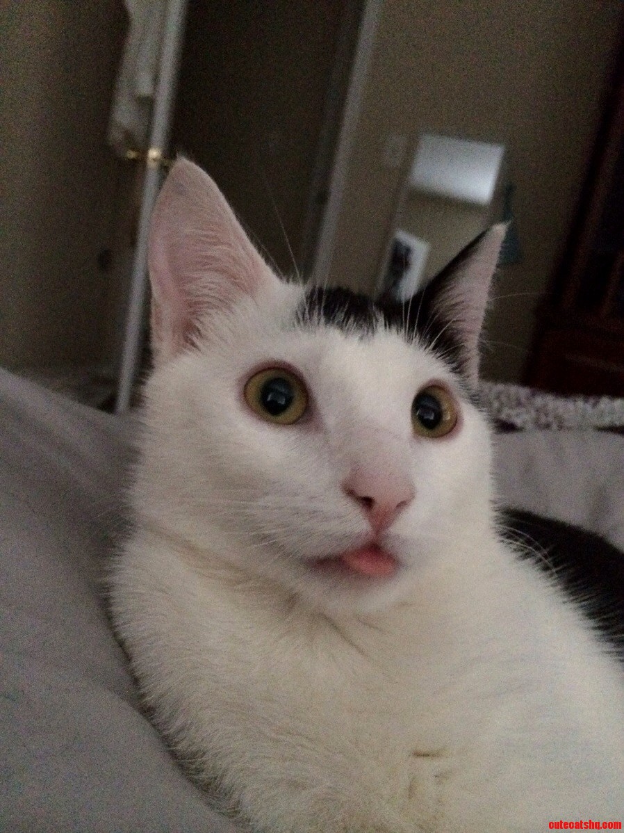 Skinny Pete at Full Derp.