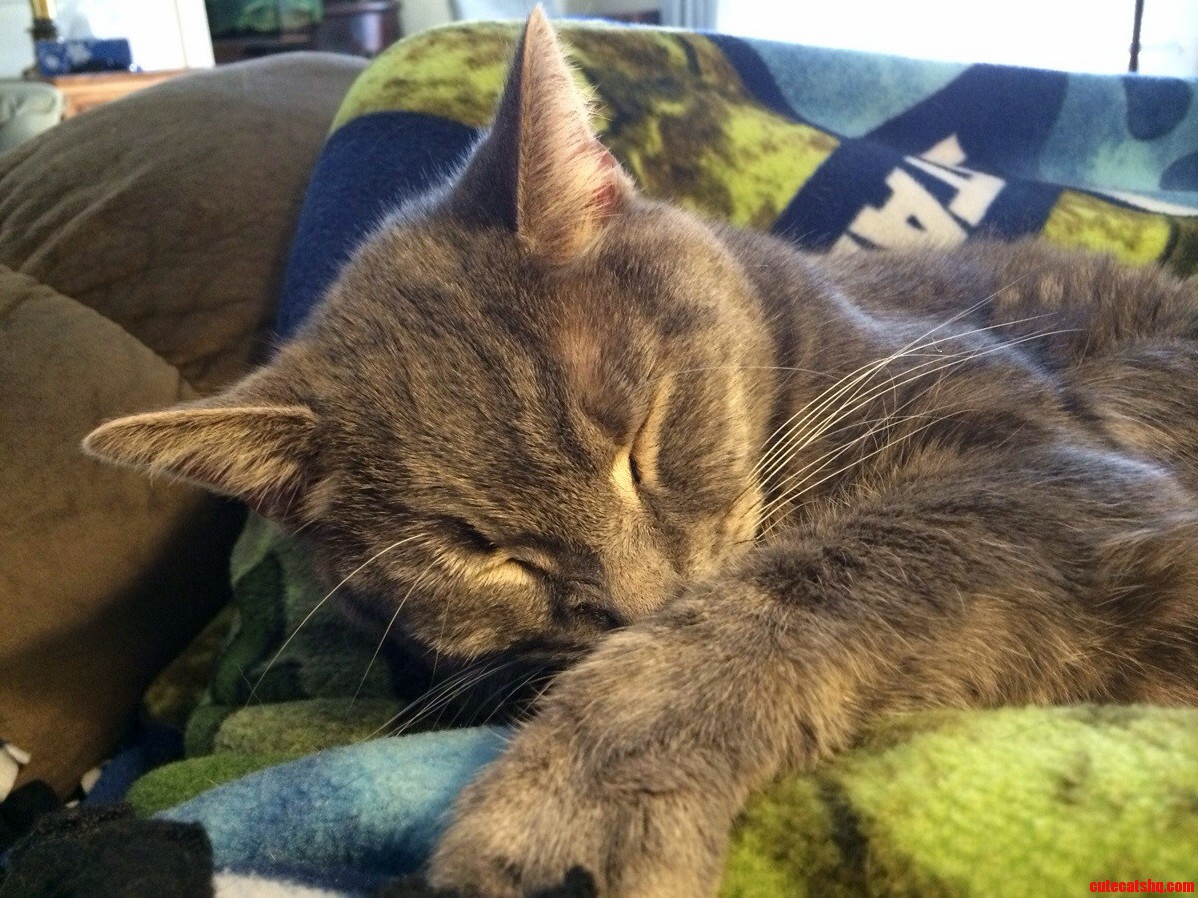 Sleeping Clubber
