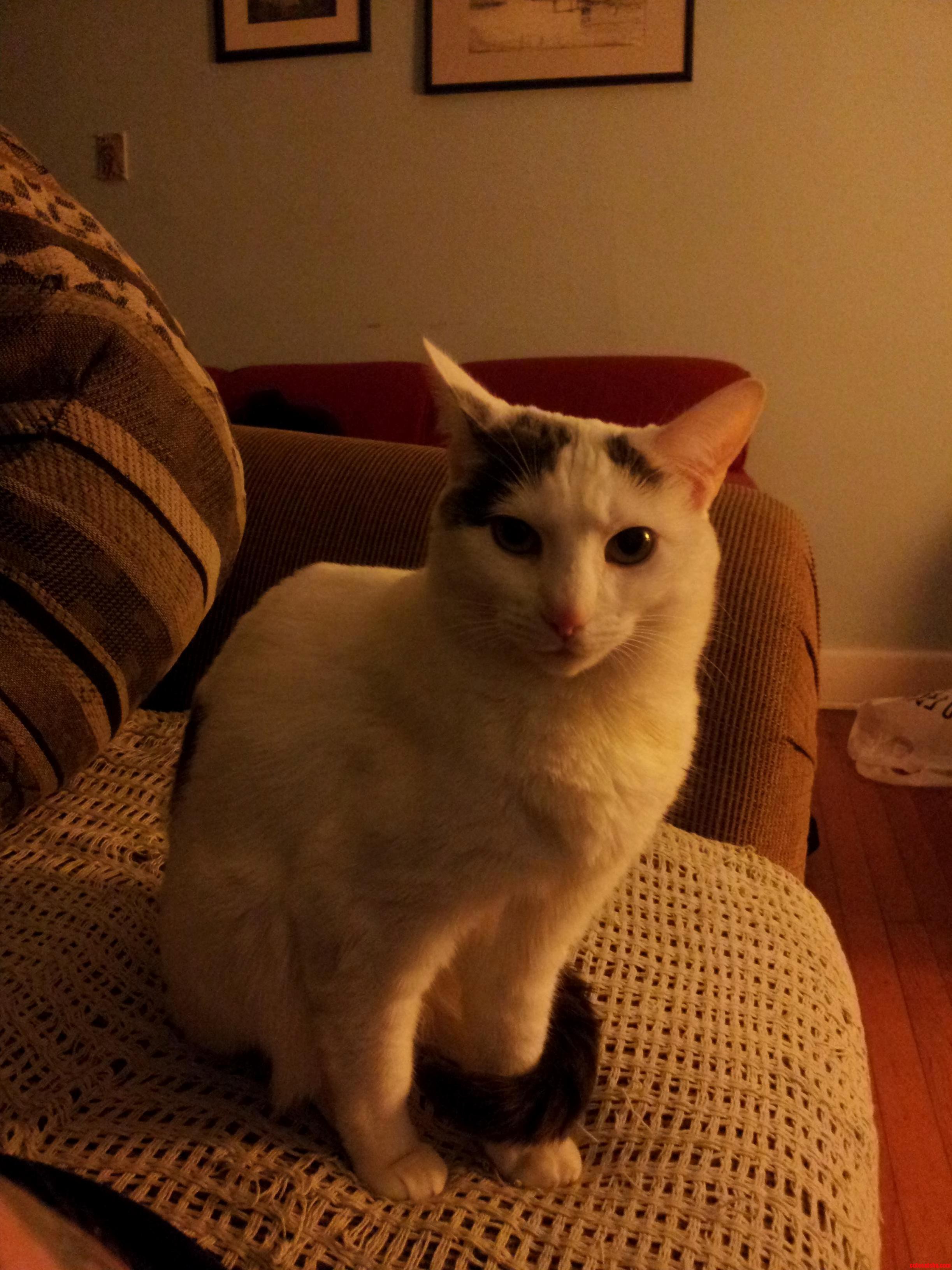 So Serious.