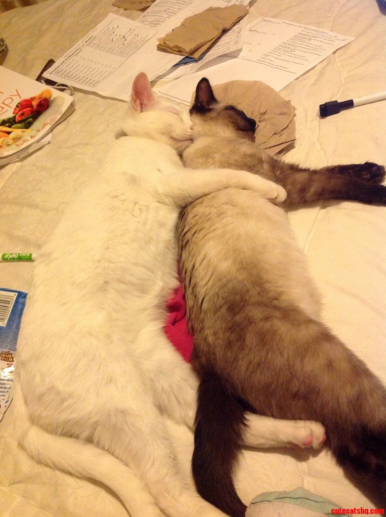 Spooning