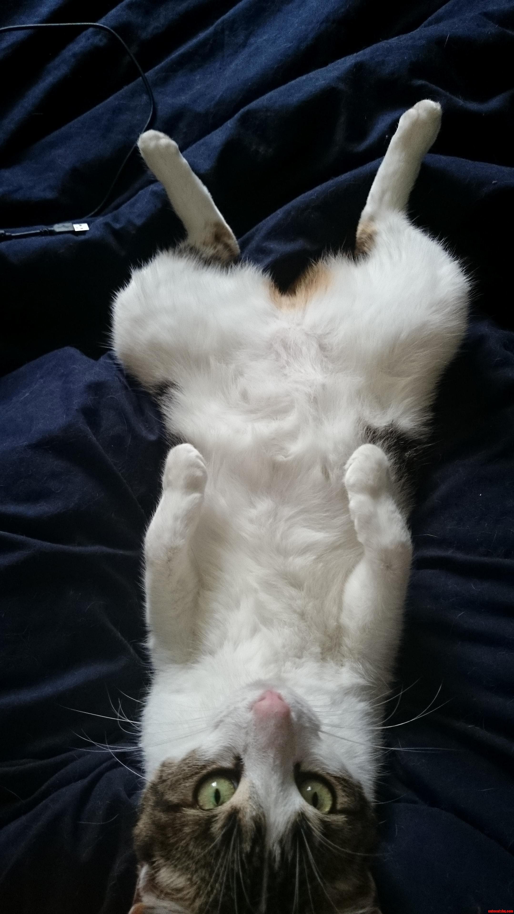 Sproket Became Very Relaxed