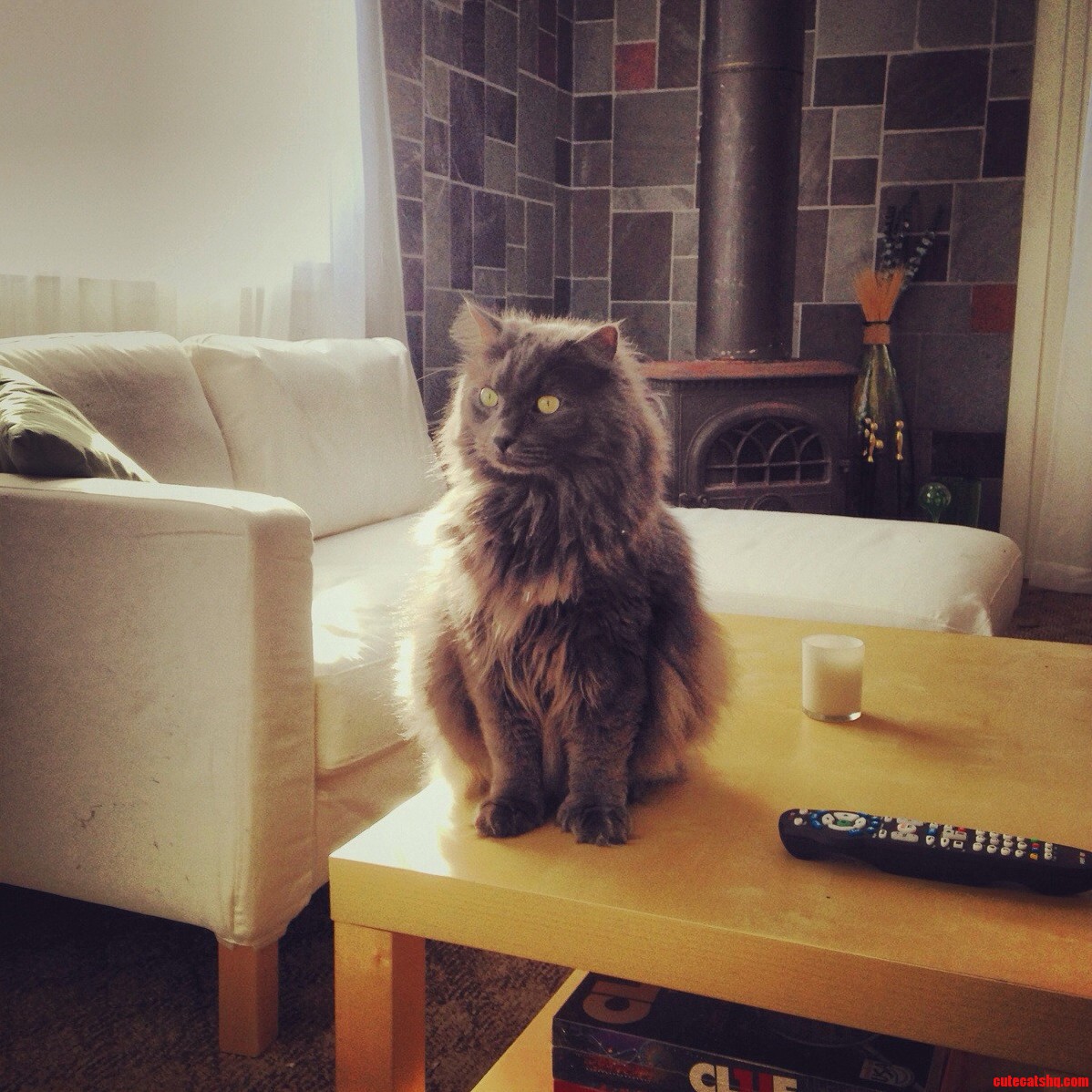 Such a Fluff