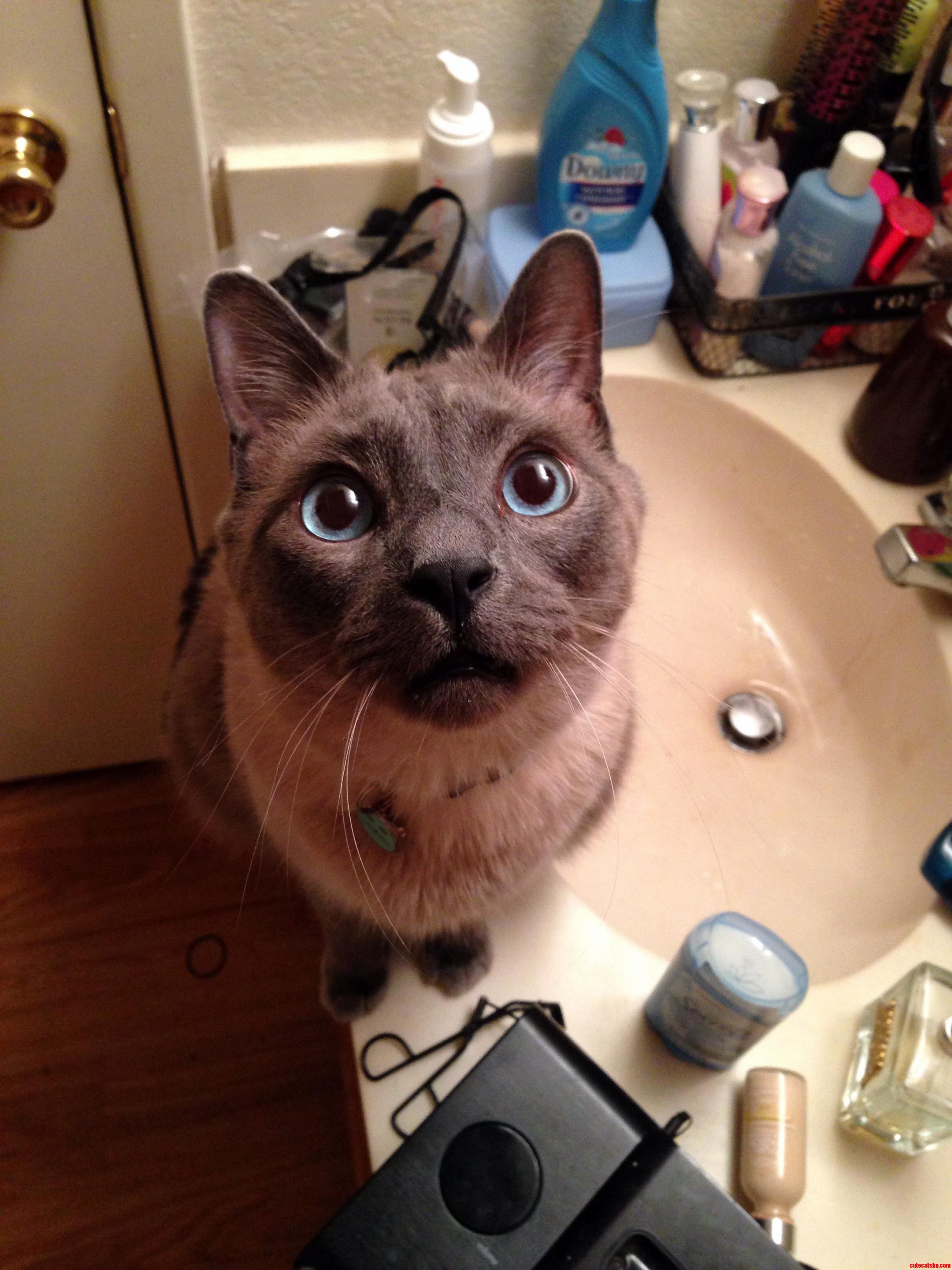 That Face Gets Me Every Time.