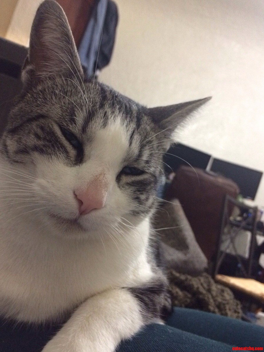 The Face I Usually Get When I Wake Him Up.