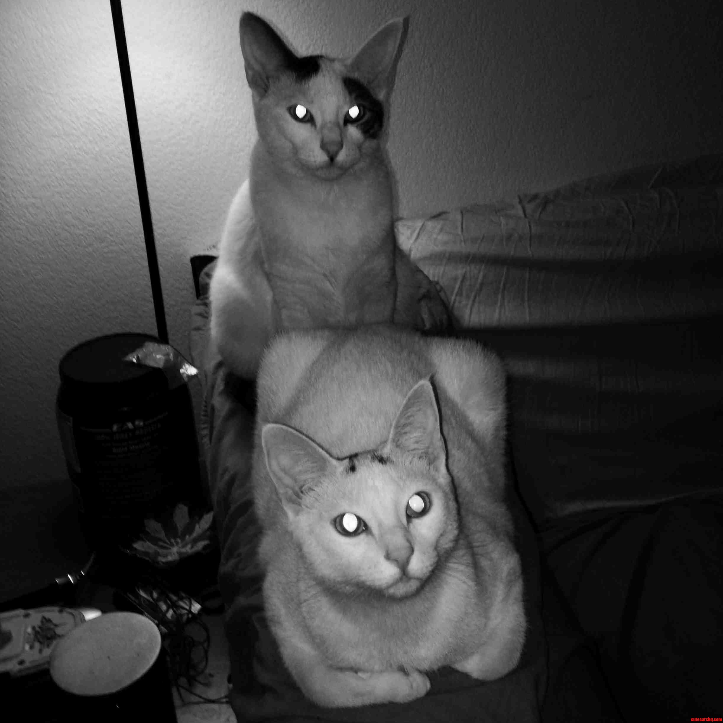 These Guys