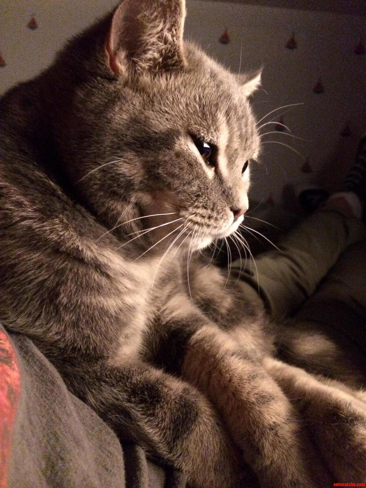 This Little Shit Comes and Bites My Hands When Playing Rust.