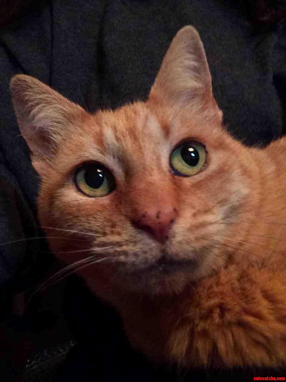 This Old Lady Has Gorgeous Eyes.