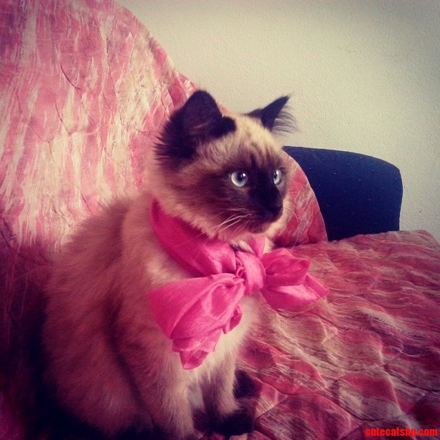 Tobias Is Trying to Make a Fashion Statement