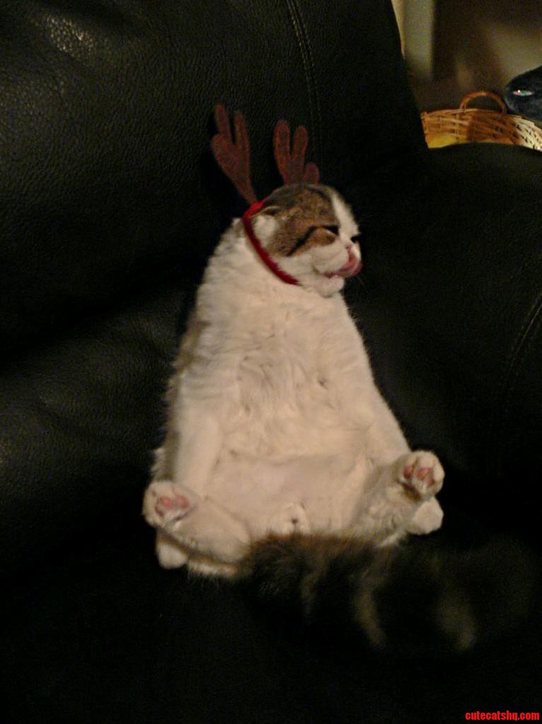 Try Not to Look Mah Reindeer Boi Bits