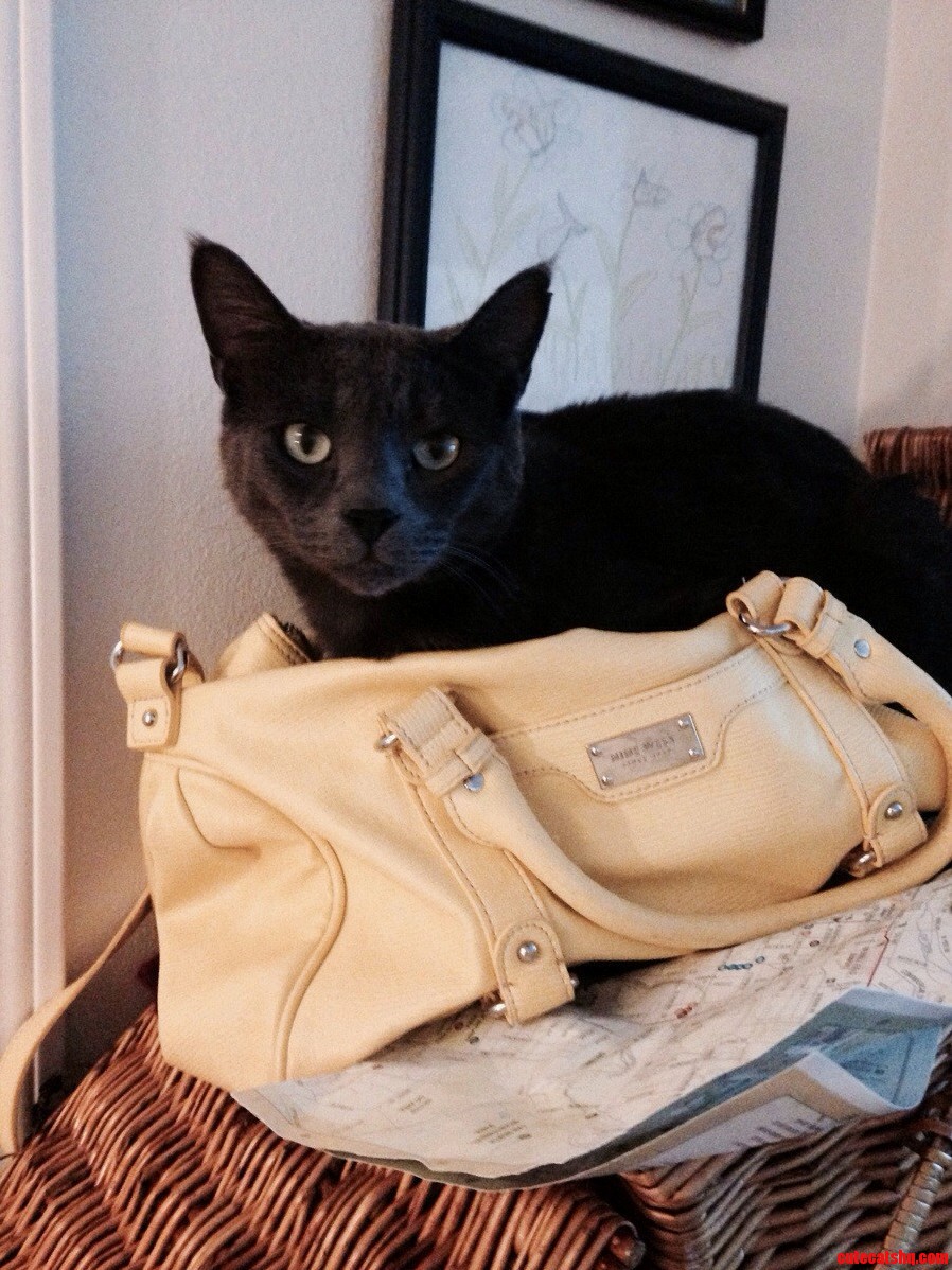 Walked by Found This One Sitting in My Bag