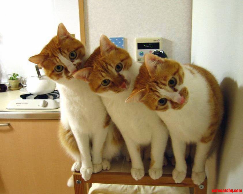 We Are Looking As You Are Liking My Picture