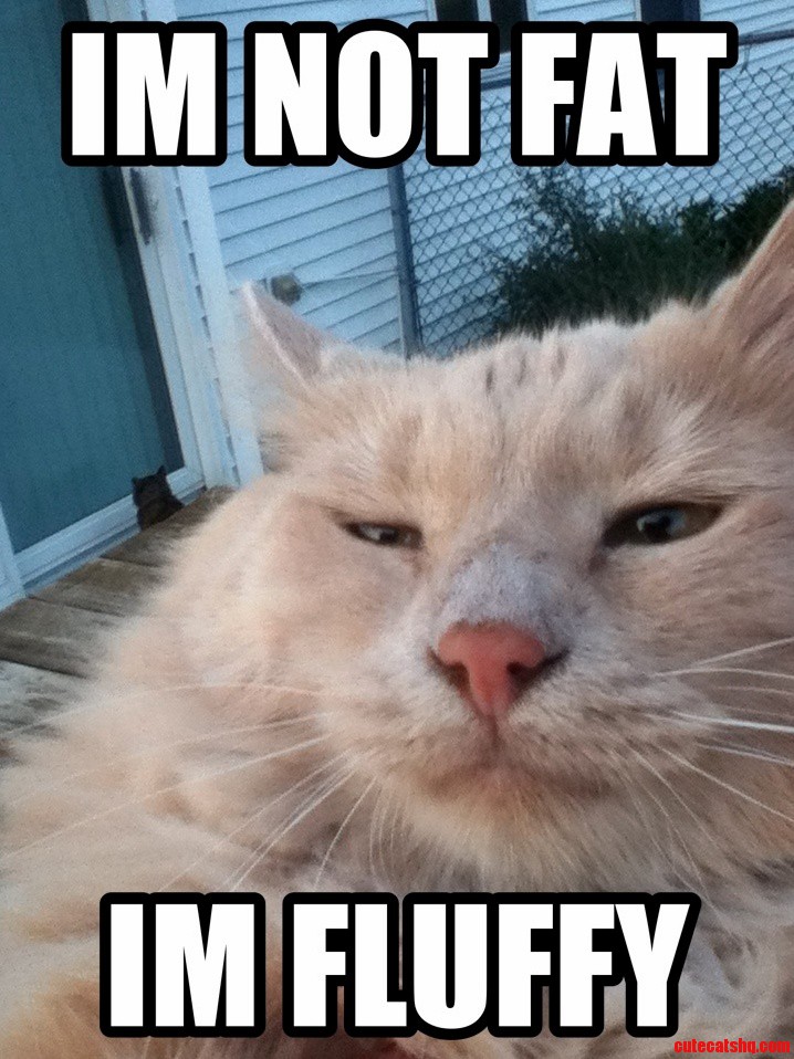 Weetoe Kitty in Pet Voice